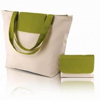 promotional ecologic bag